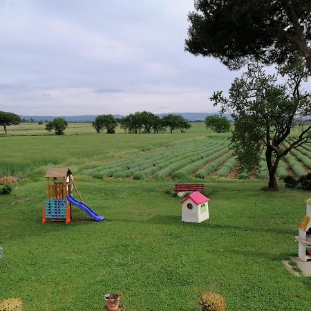 Agriturismo Susanna E Atria Bibbona Ngoại thất bức ảnh