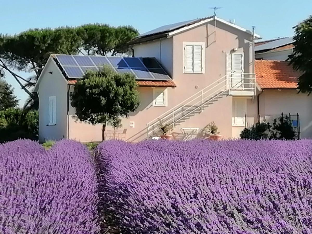 Agriturismo Susanna E Atria Bibbona Ngoại thất bức ảnh