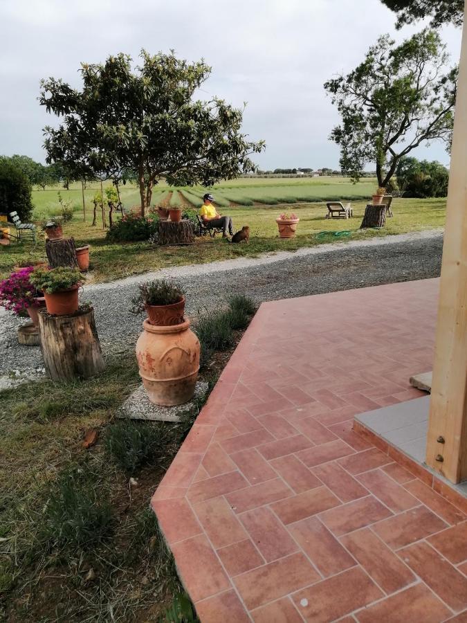 Agriturismo Susanna E Atria Bibbona Ngoại thất bức ảnh
