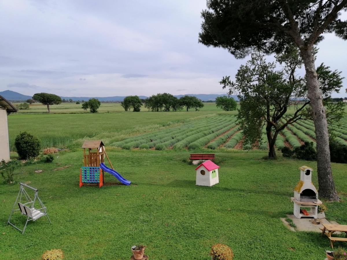 Agriturismo Susanna E Atria Bibbona Ngoại thất bức ảnh