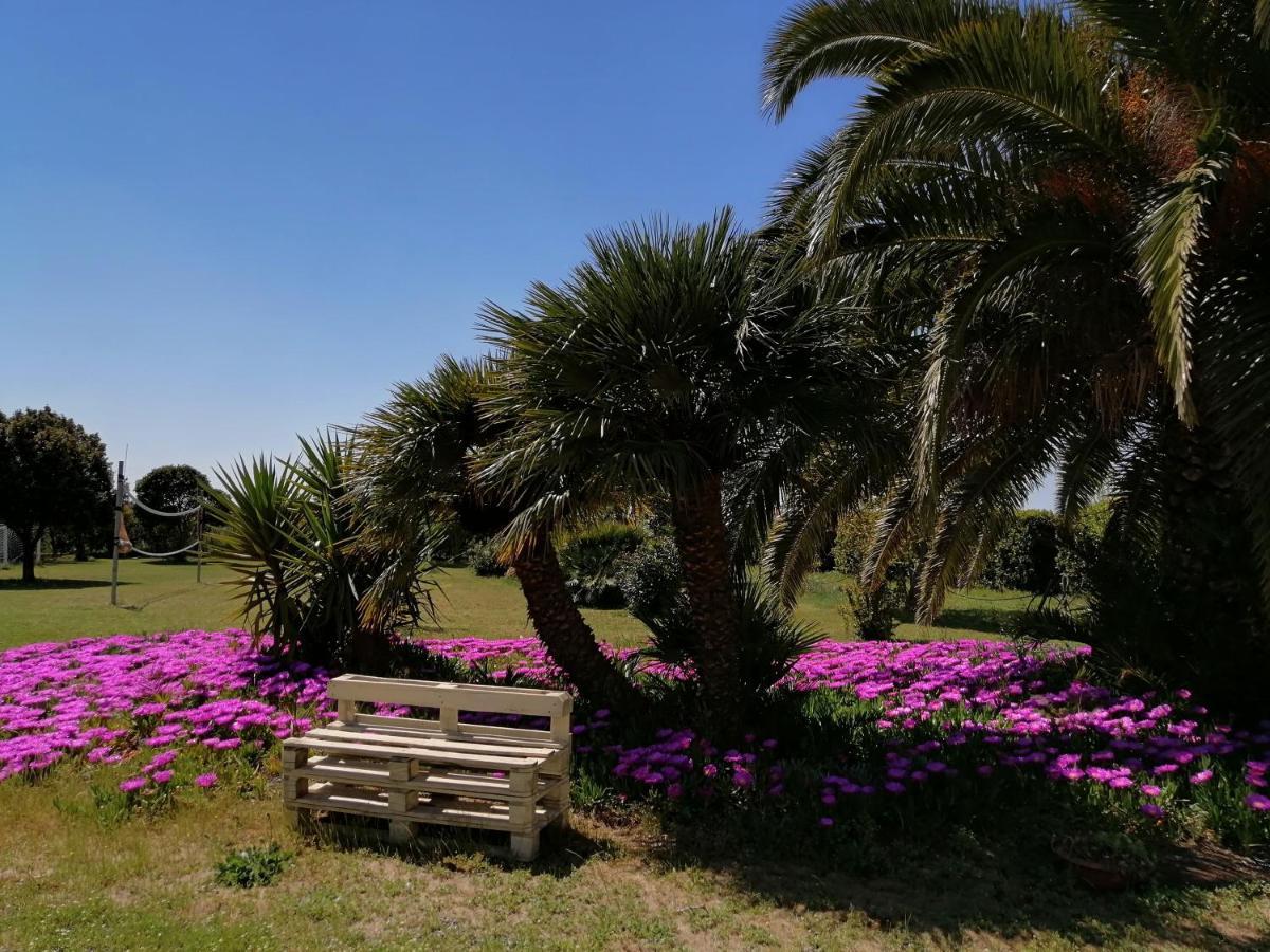 Agriturismo Susanna E Atria Bibbona Ngoại thất bức ảnh